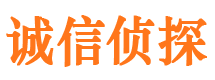 普格市私人侦探